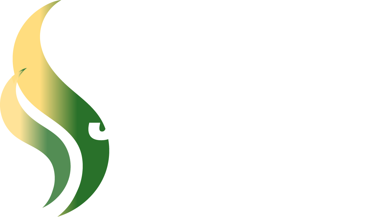 Scientific Electrical